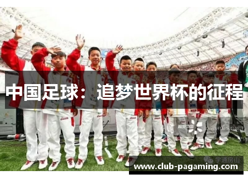 中国足球:追梦世界杯的征程 中国足球:追梦世界杯的征程