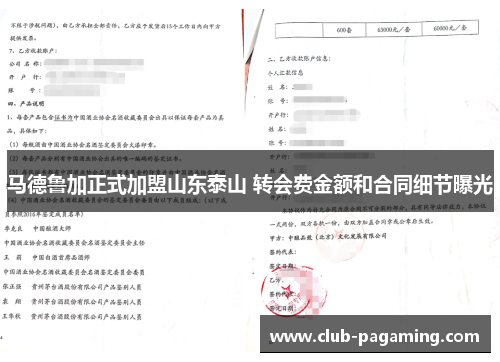 马德鲁加正式加盟山东泰山 转会费金额和合同细节曝光
